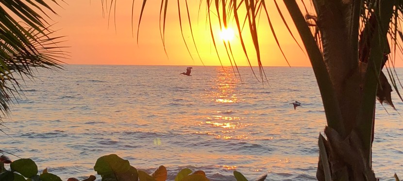 I Ate the State – Special Edition: Puerto&nbsp;Vallarta