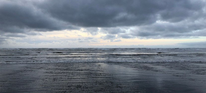 I Ate the State: Grays Harbor&nbsp;County