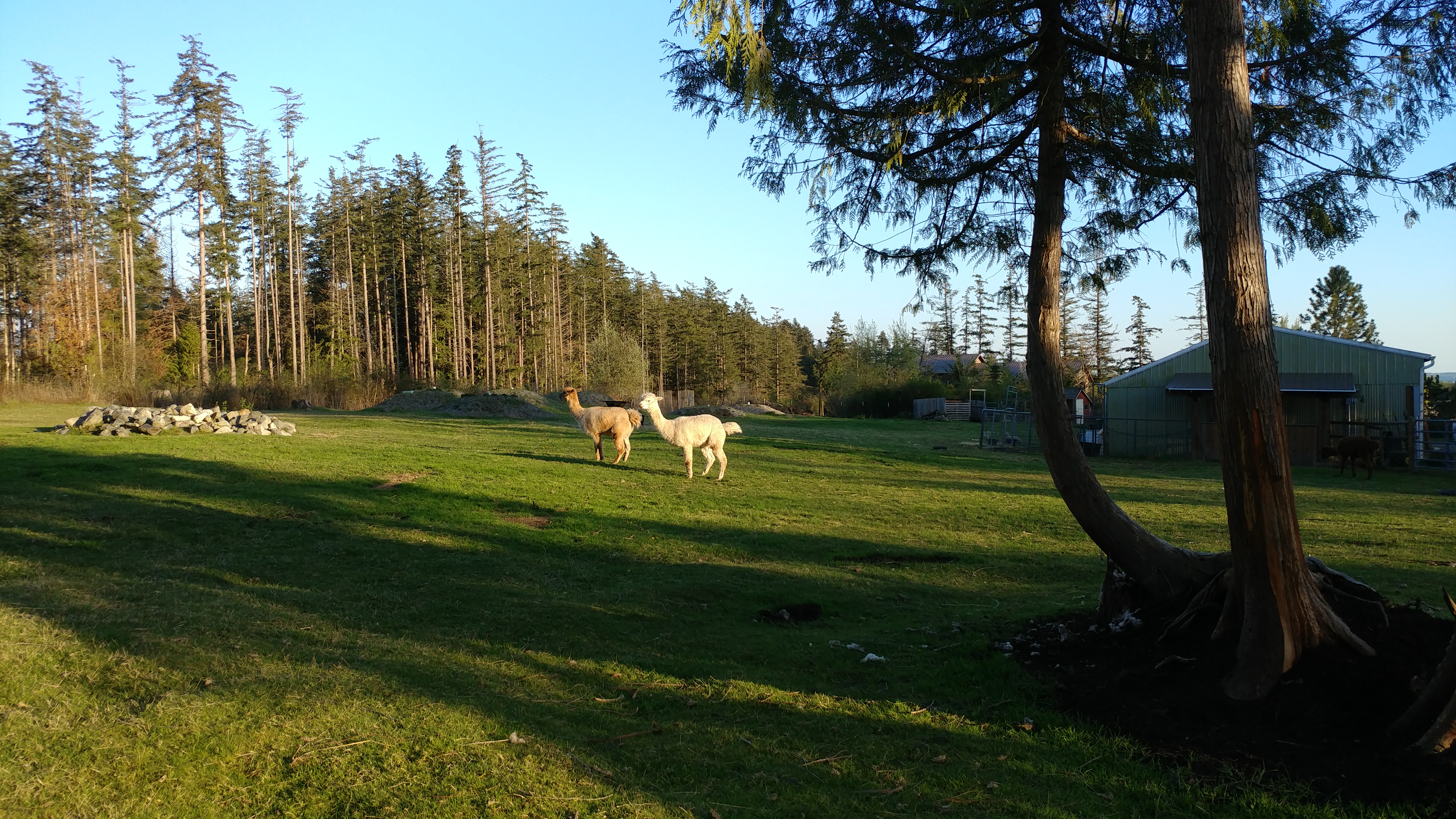 Pleasant Ridge B&amp;B