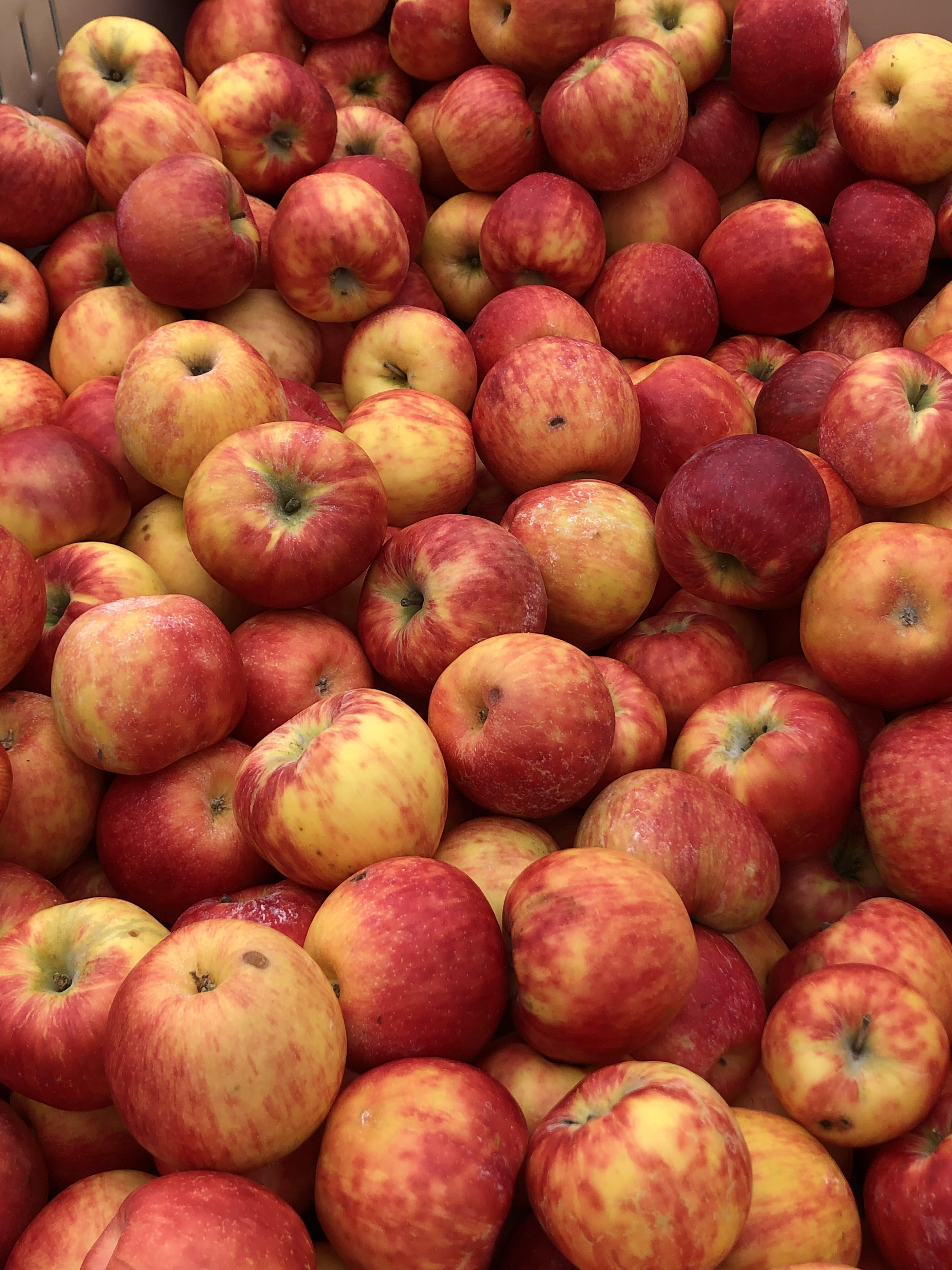 Market Apples