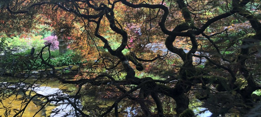 I Ate the State – Special Edition: Victoria&nbsp;B.C.