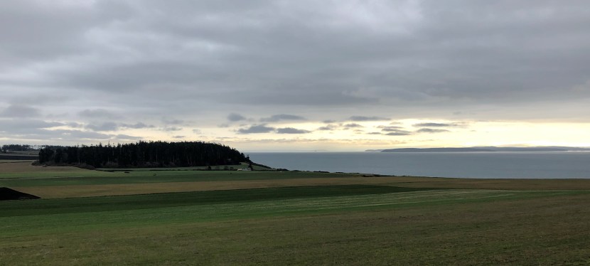 I Ate the State – Island&nbsp;County